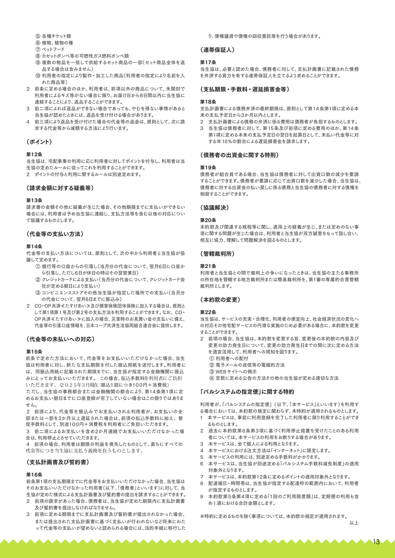 Page 13（13ページ目）
