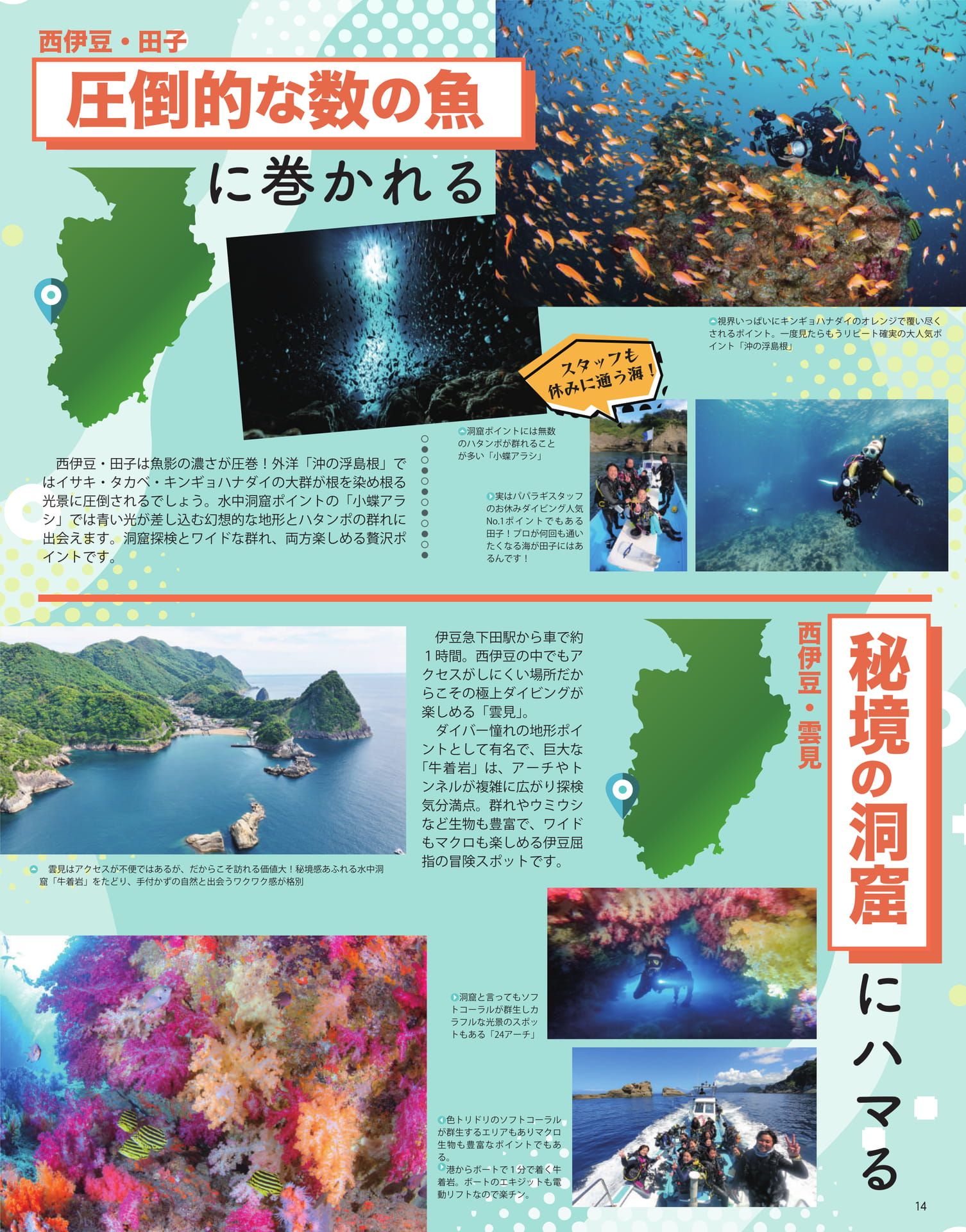 Page 15（15ページ目）