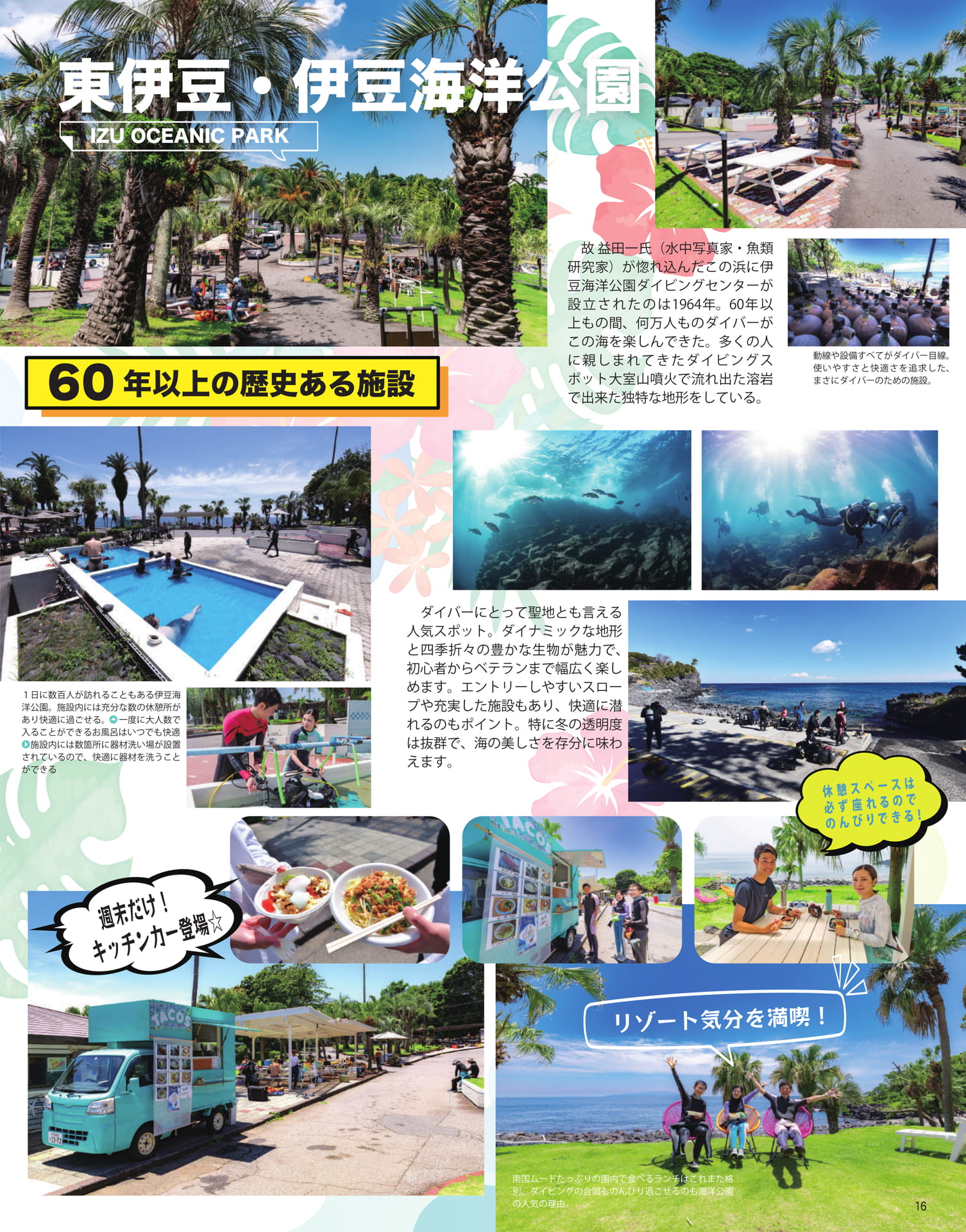 Page 17（17ページ目）