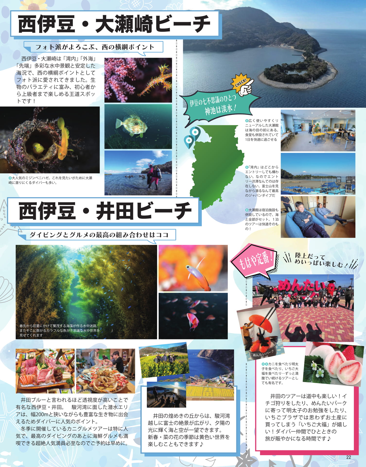 Page 23（23ページ目）