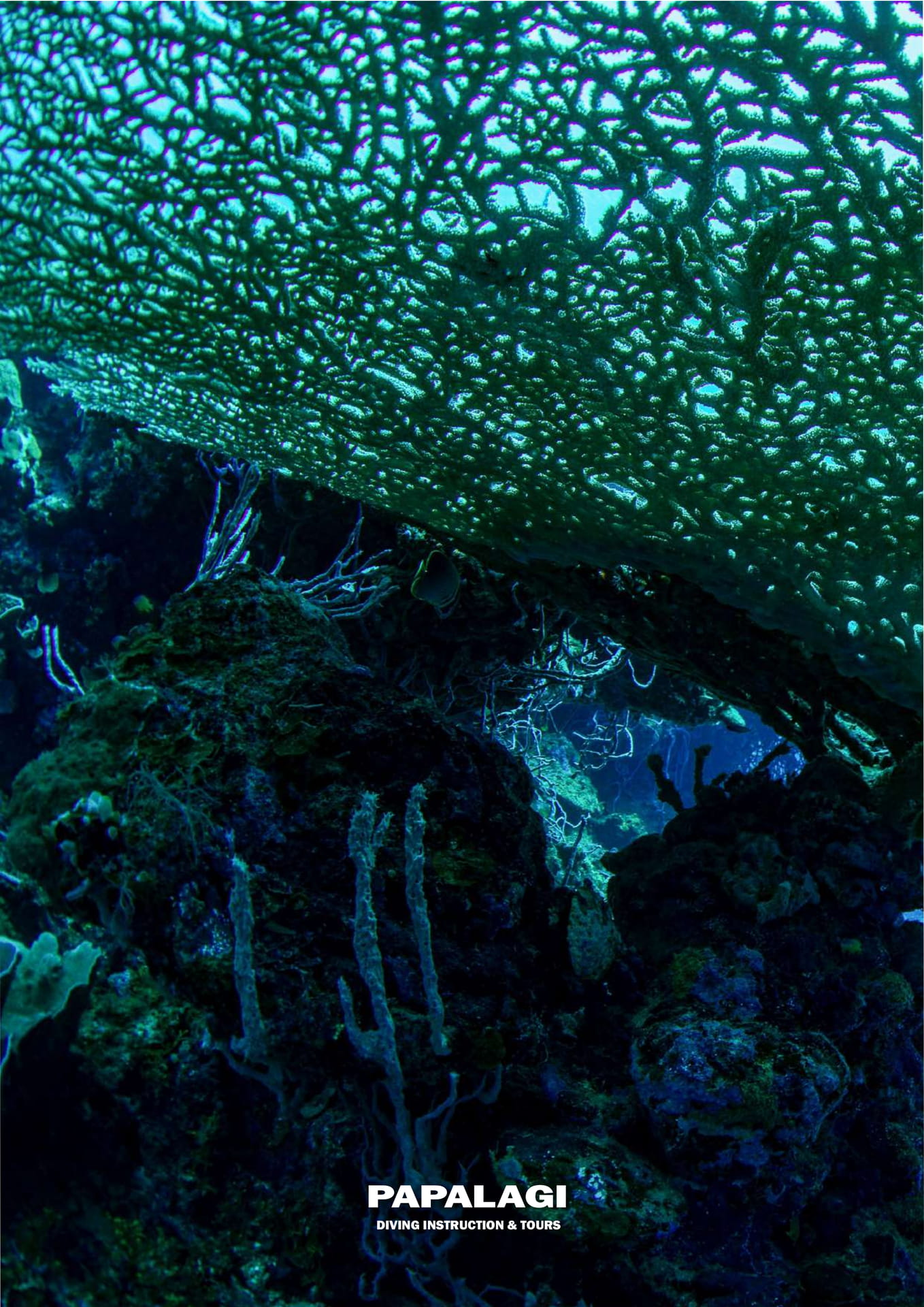 水中風景（24ページ目）