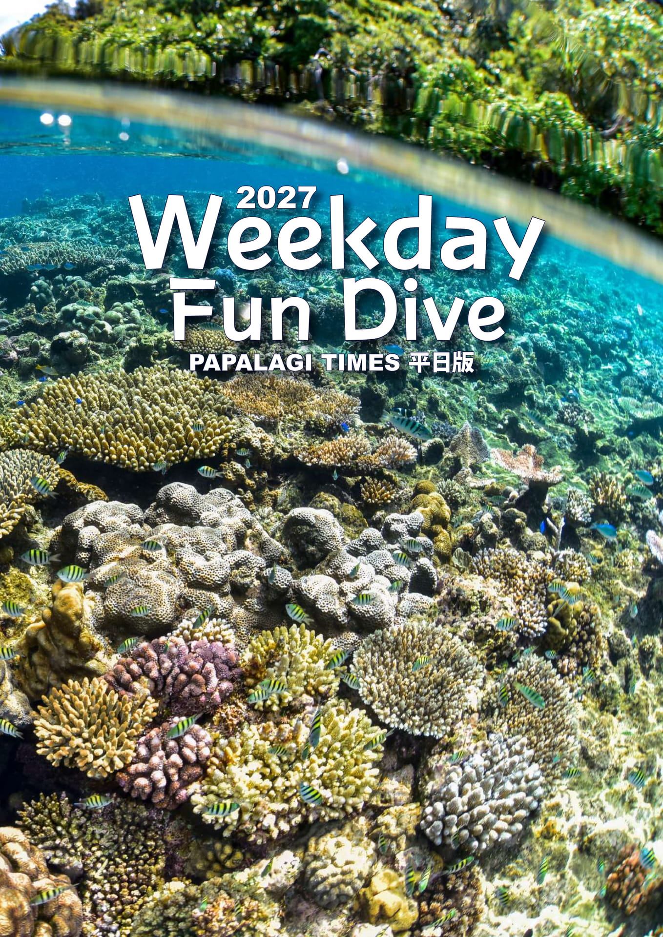Fun Dive PAPALAGI TIMES 平日版（9ページ目）
