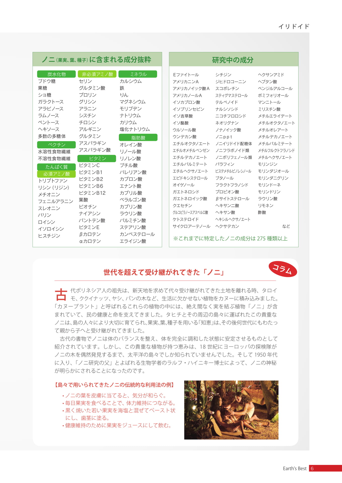 イリドイド(7ページ目)