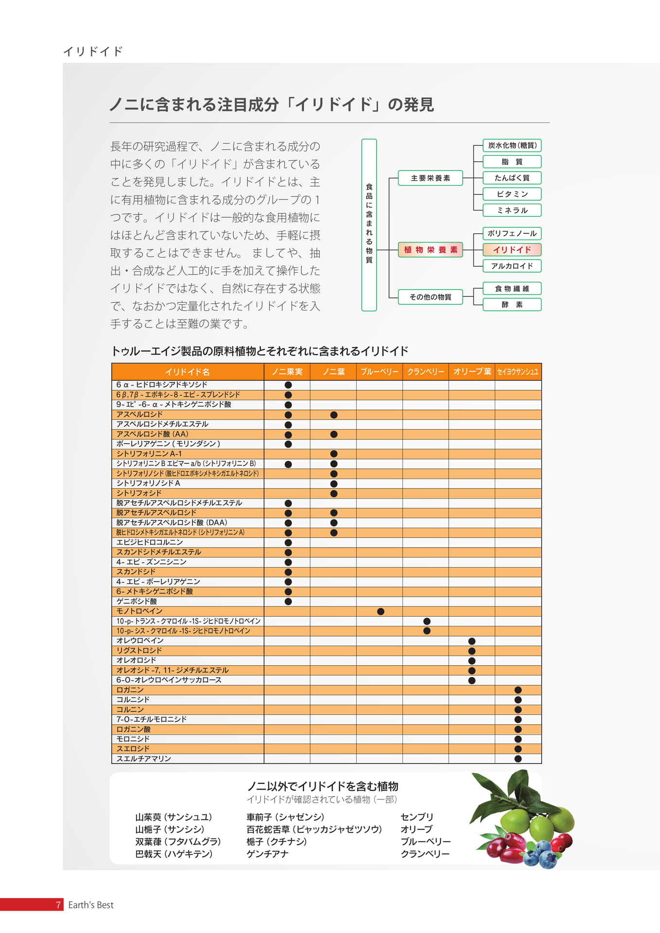 イリドイド(8ページ目)