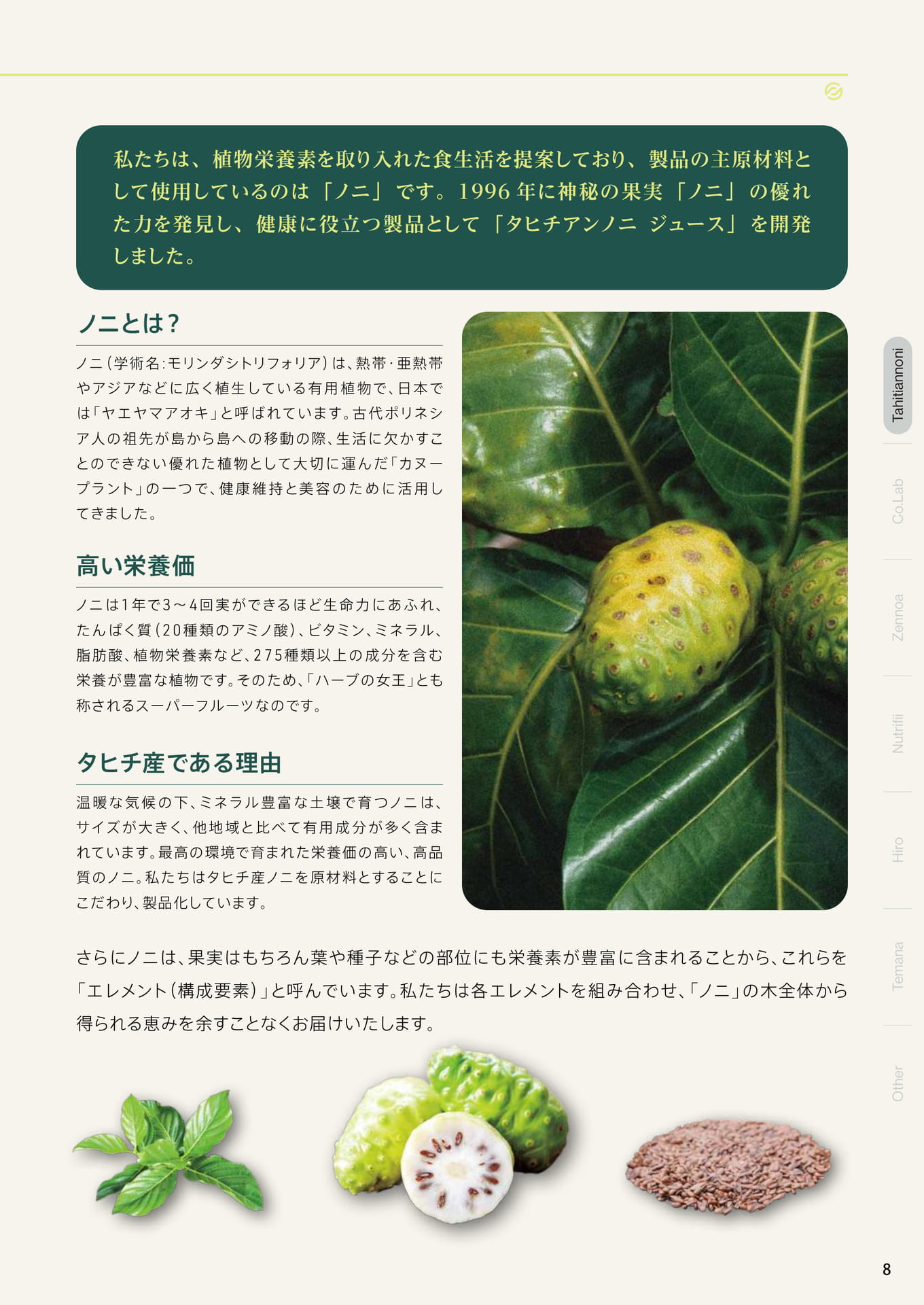 ノニとは？（9ページ目）