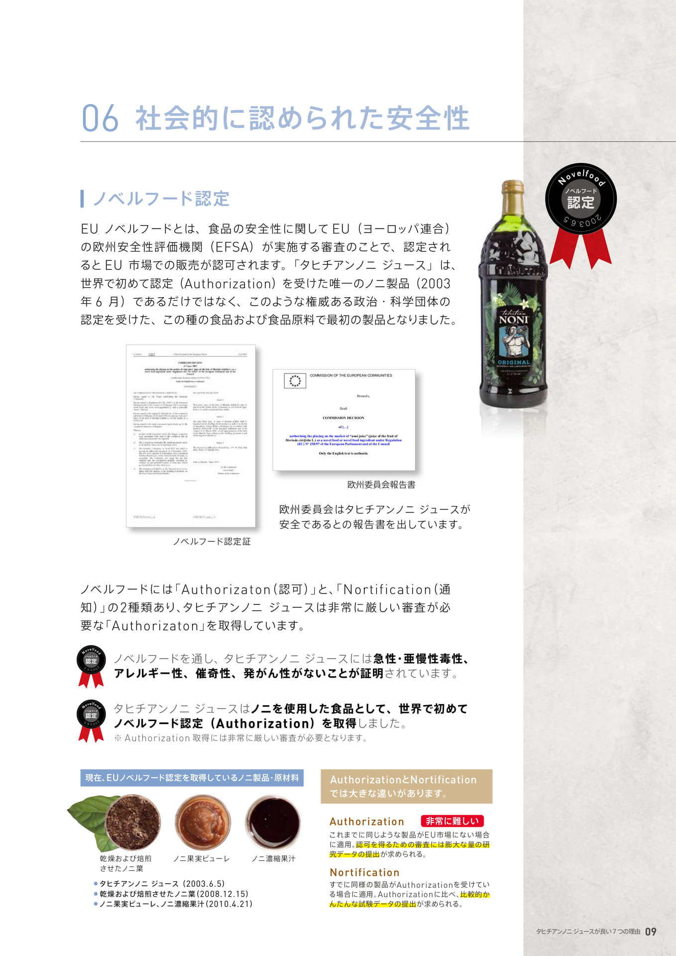 06 社会的に認められた安全性（9ページ目）