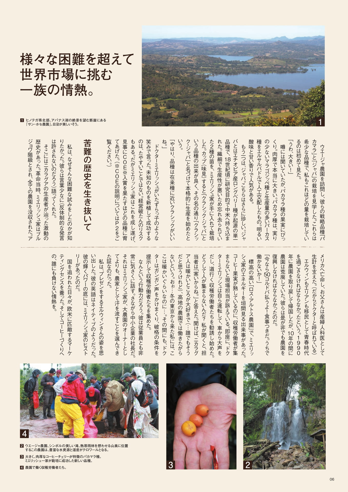ウエージャ農園とパカマラ種（6ページ目）