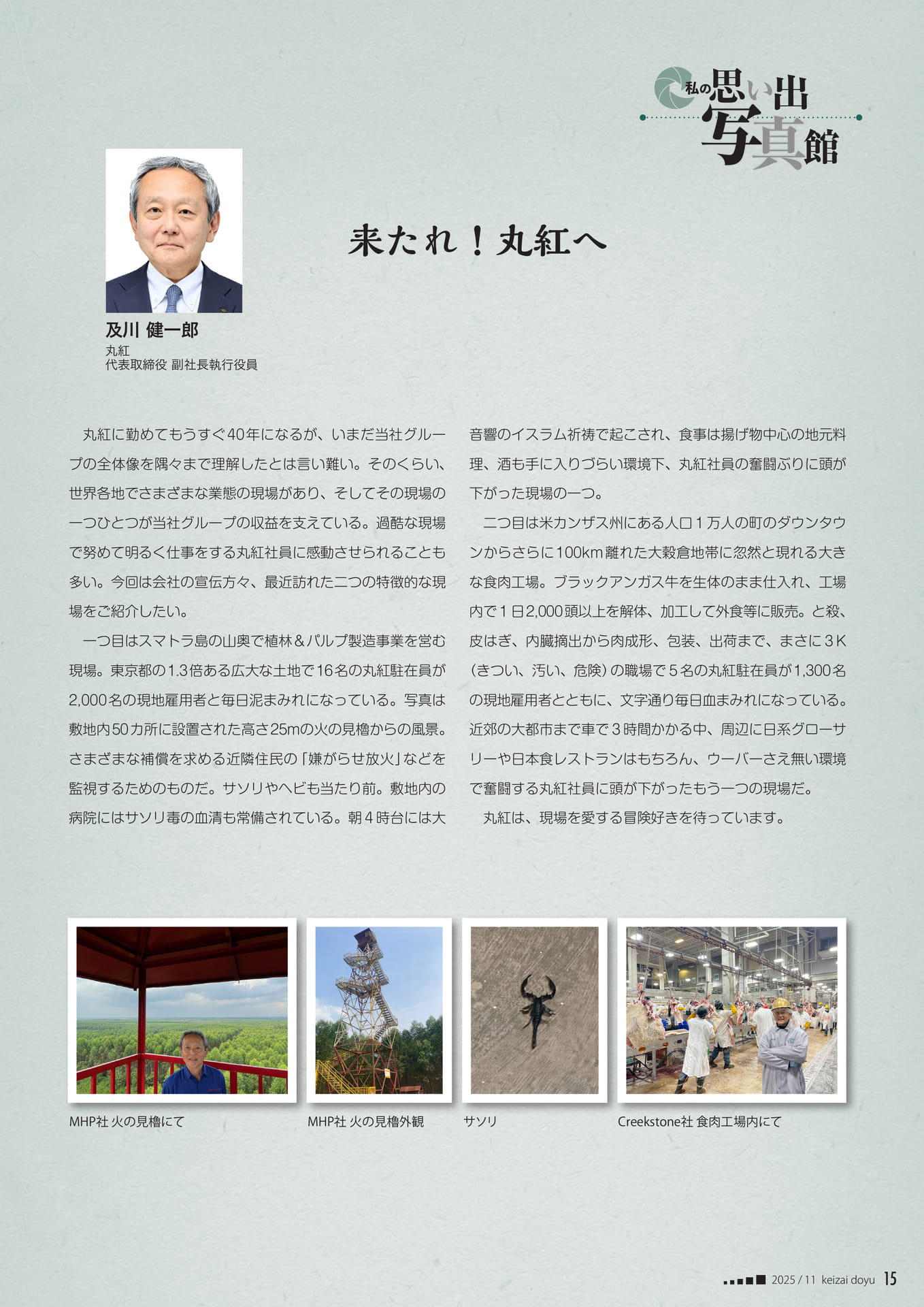 Page 15（15ページ目）