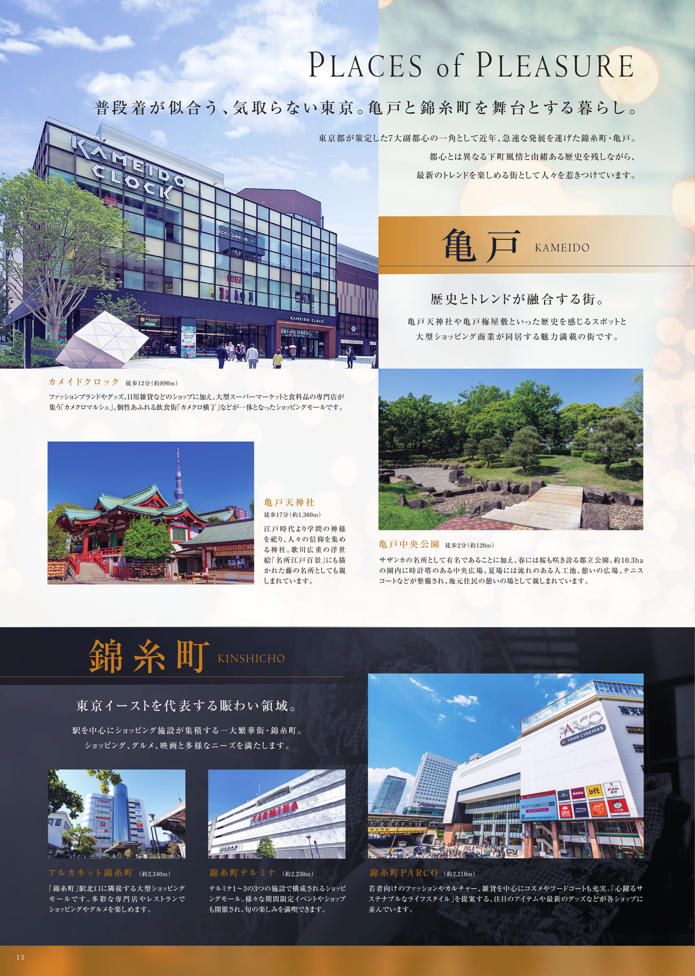 Page 14（14ページ目）