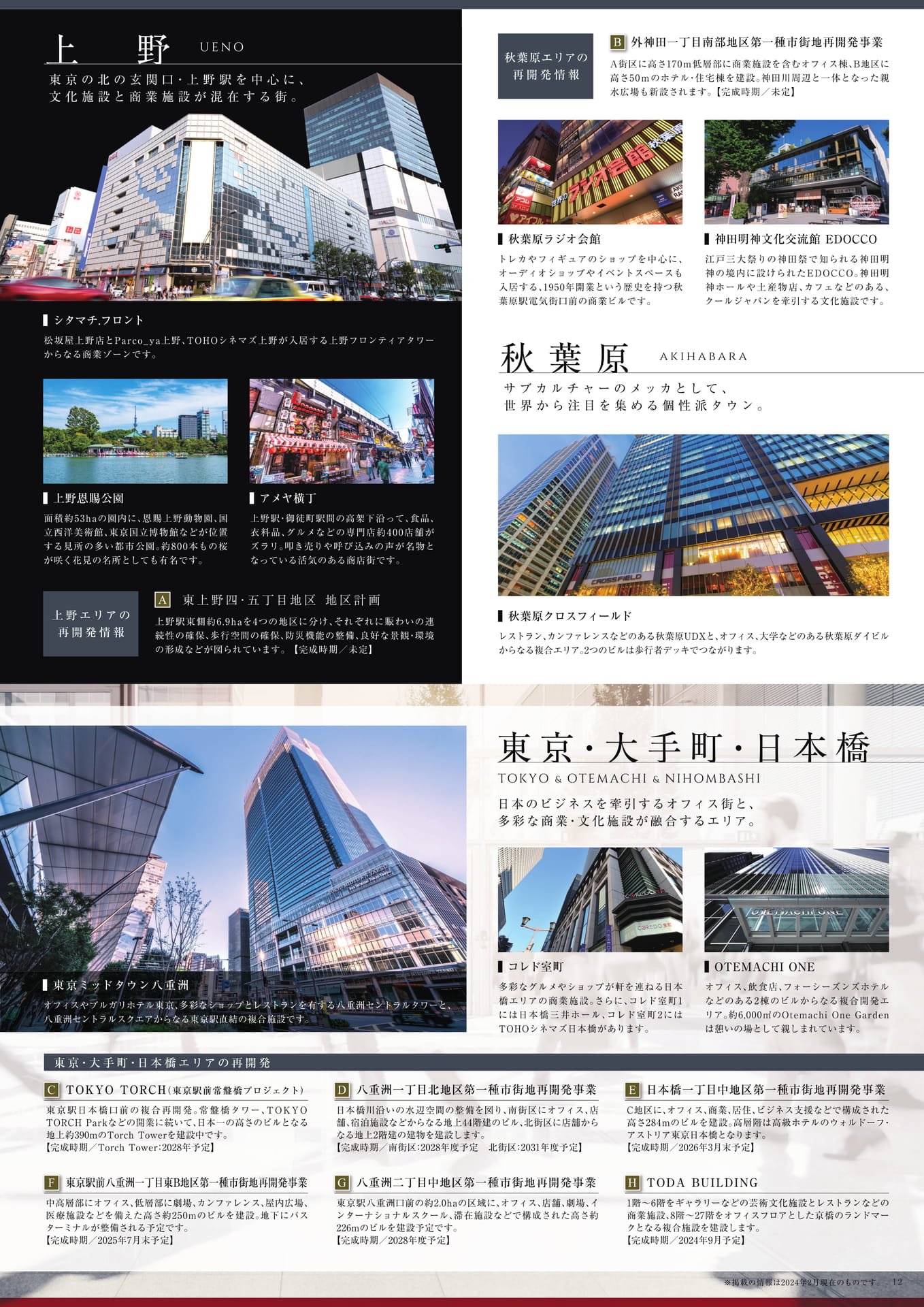 Page 13（13ページ目）