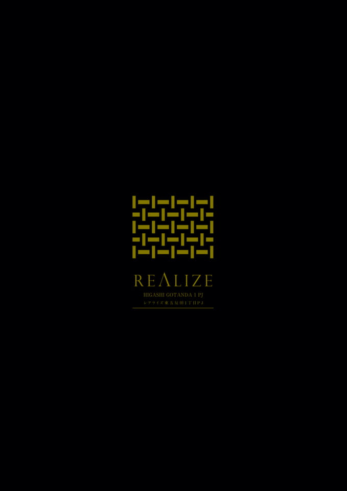 REALIZE HIGASHIGOTANDA 1 PJ（1ページ目）