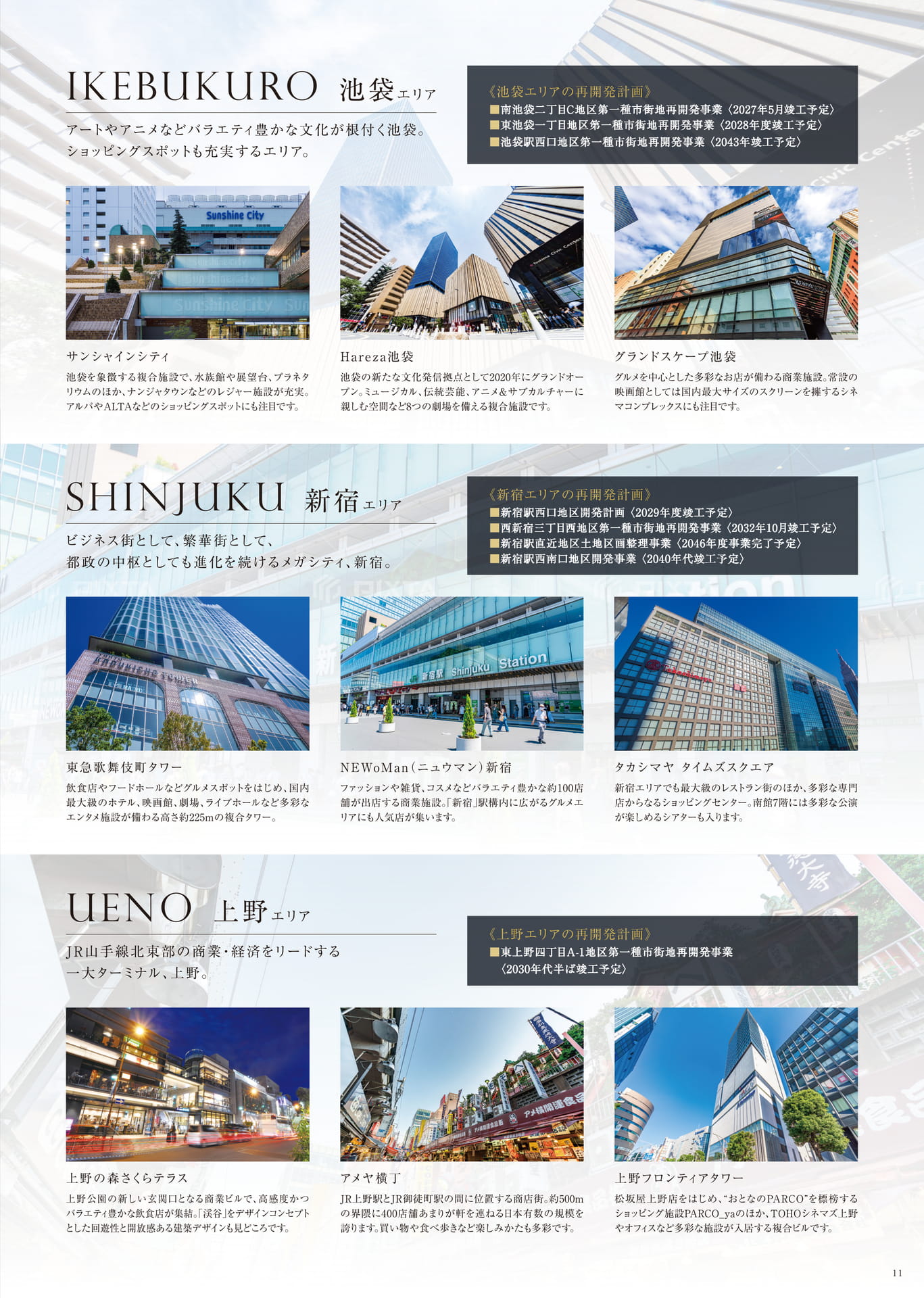 Page 13（13ページ目）