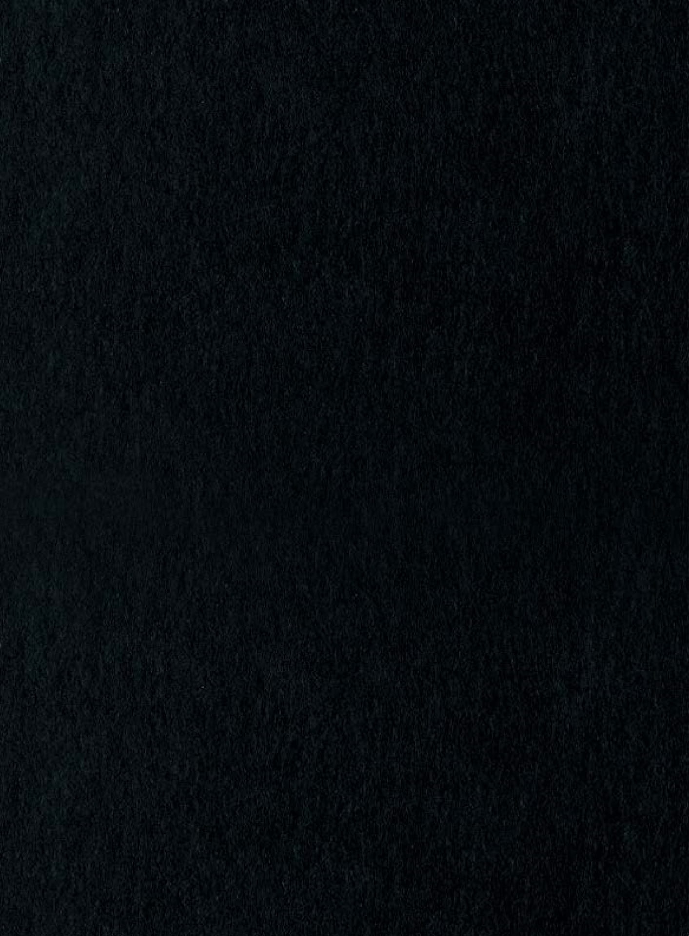ページ（2ページ目）