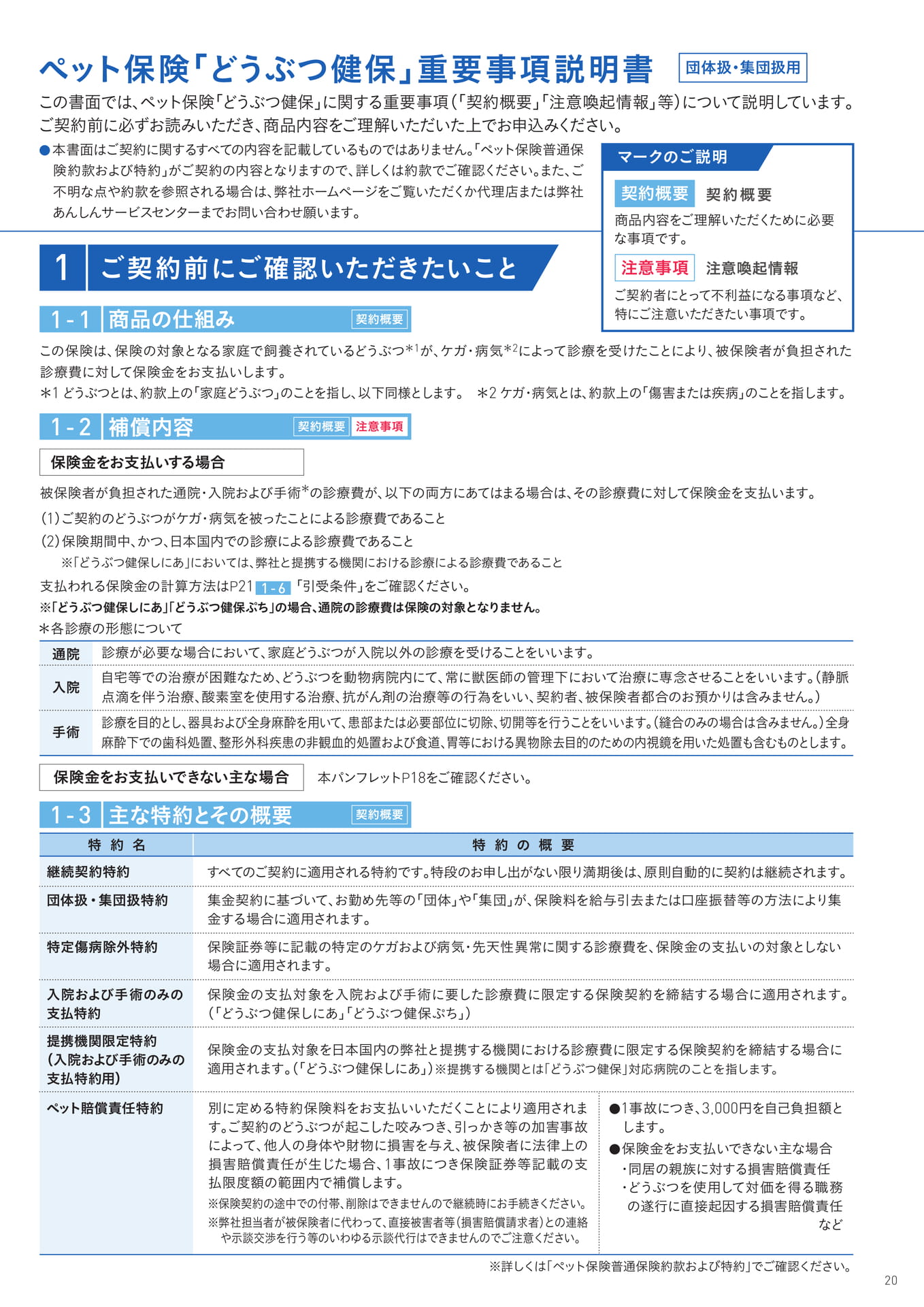 Page 21（21ページ目）