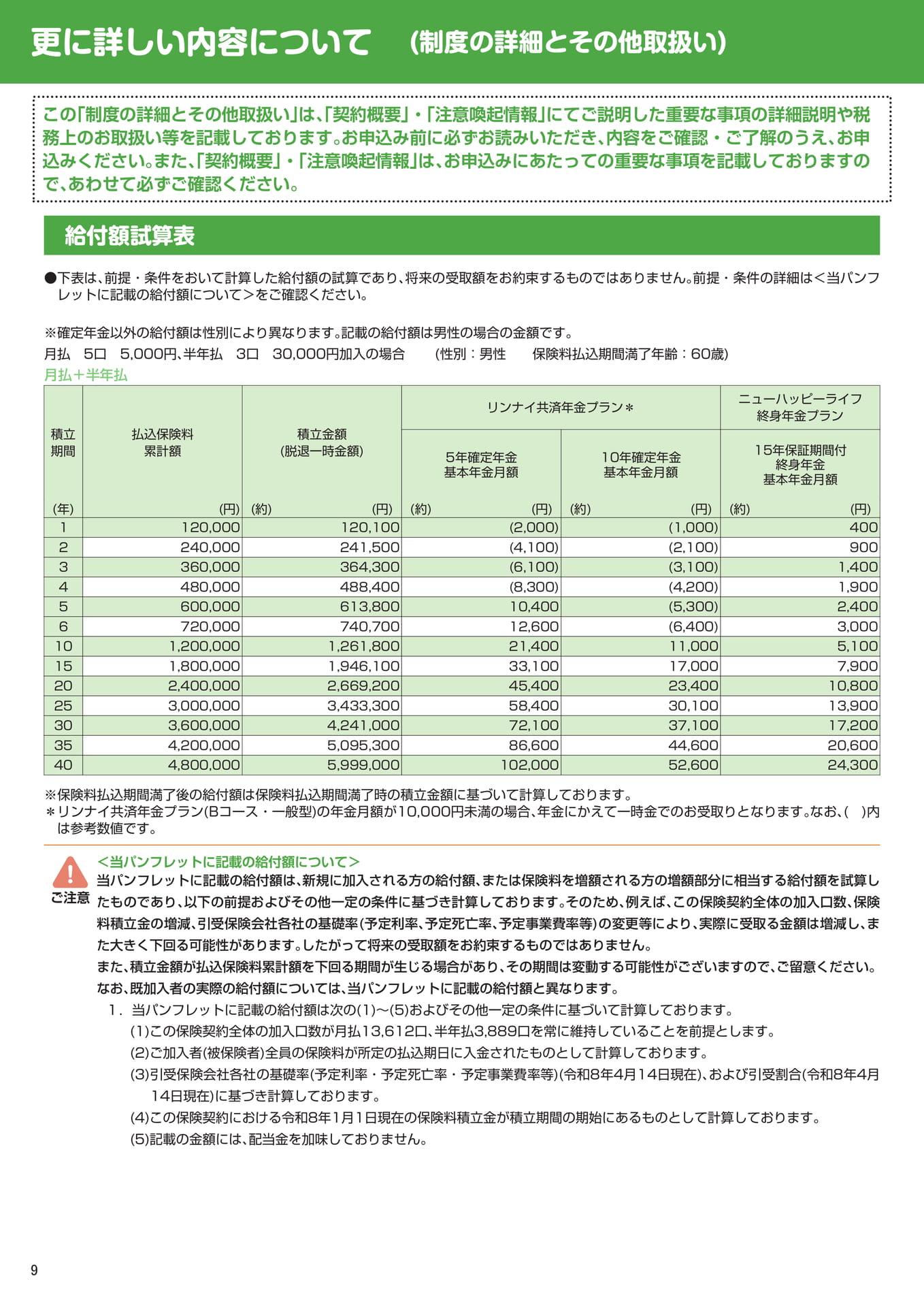 給付額試算表(男性)(10ページ目)