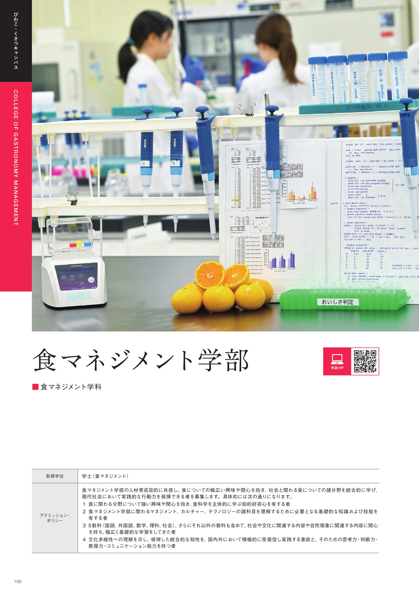 Page 102（102ページ目）
