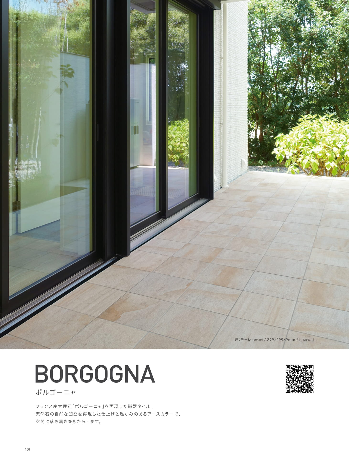 BORGOGNA ボルゴーニャ (154ページ目)