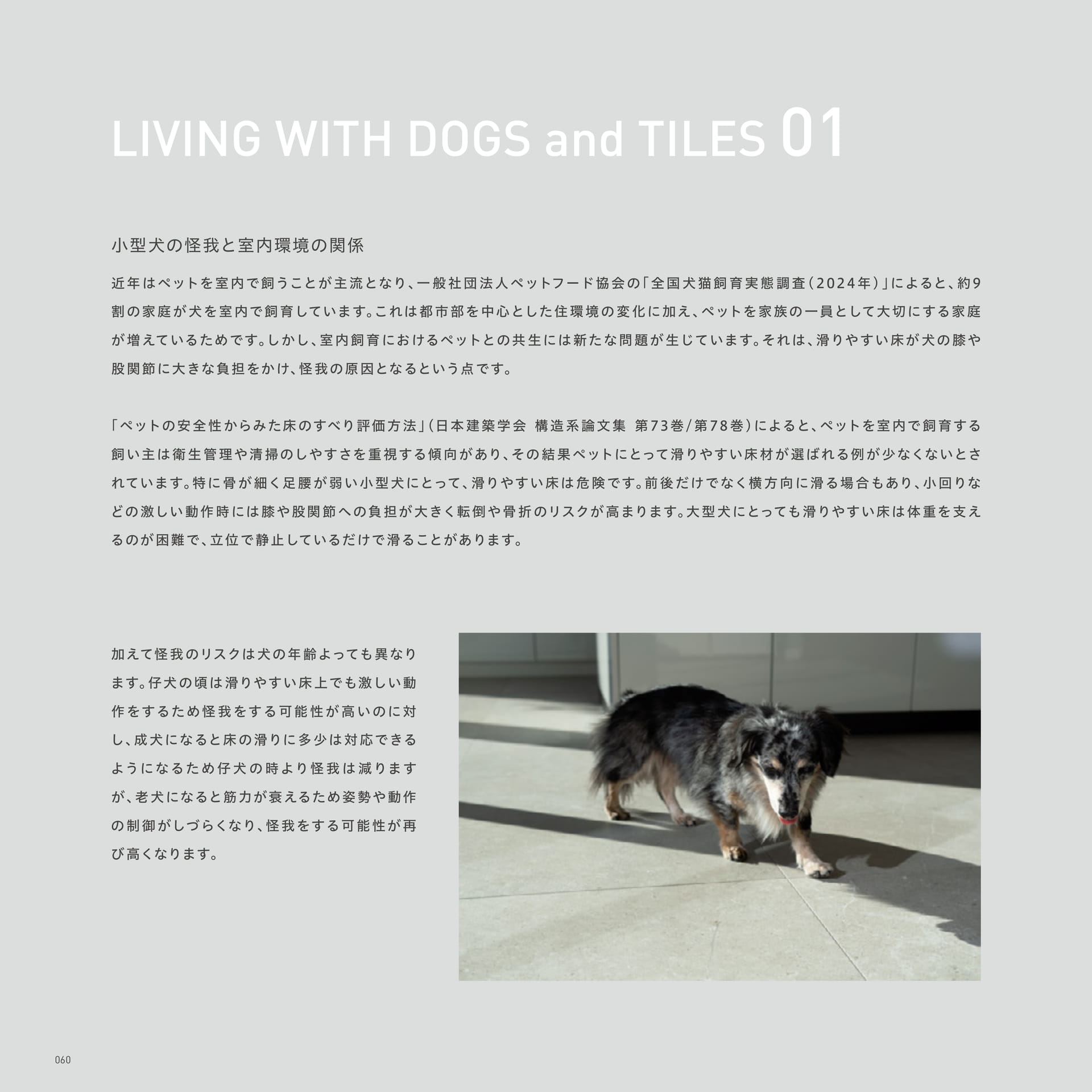 LIVING WITH DOGS and TILES 01(64ページ目)