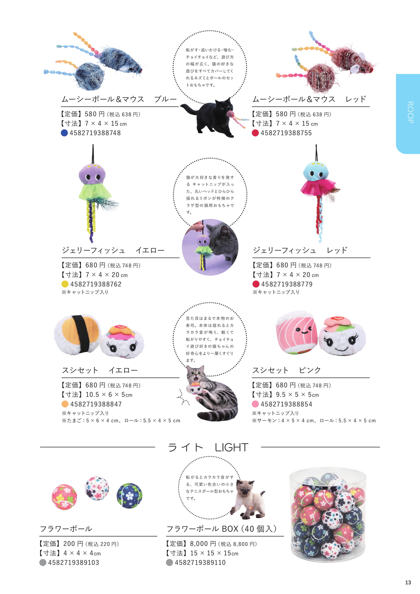 Page 13(13ページ目)