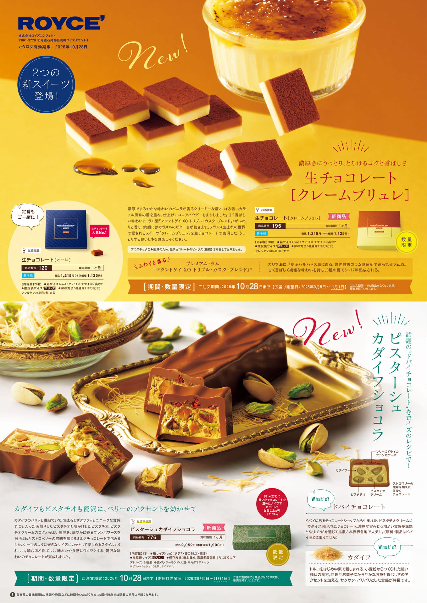 Page 1（1ページ目）