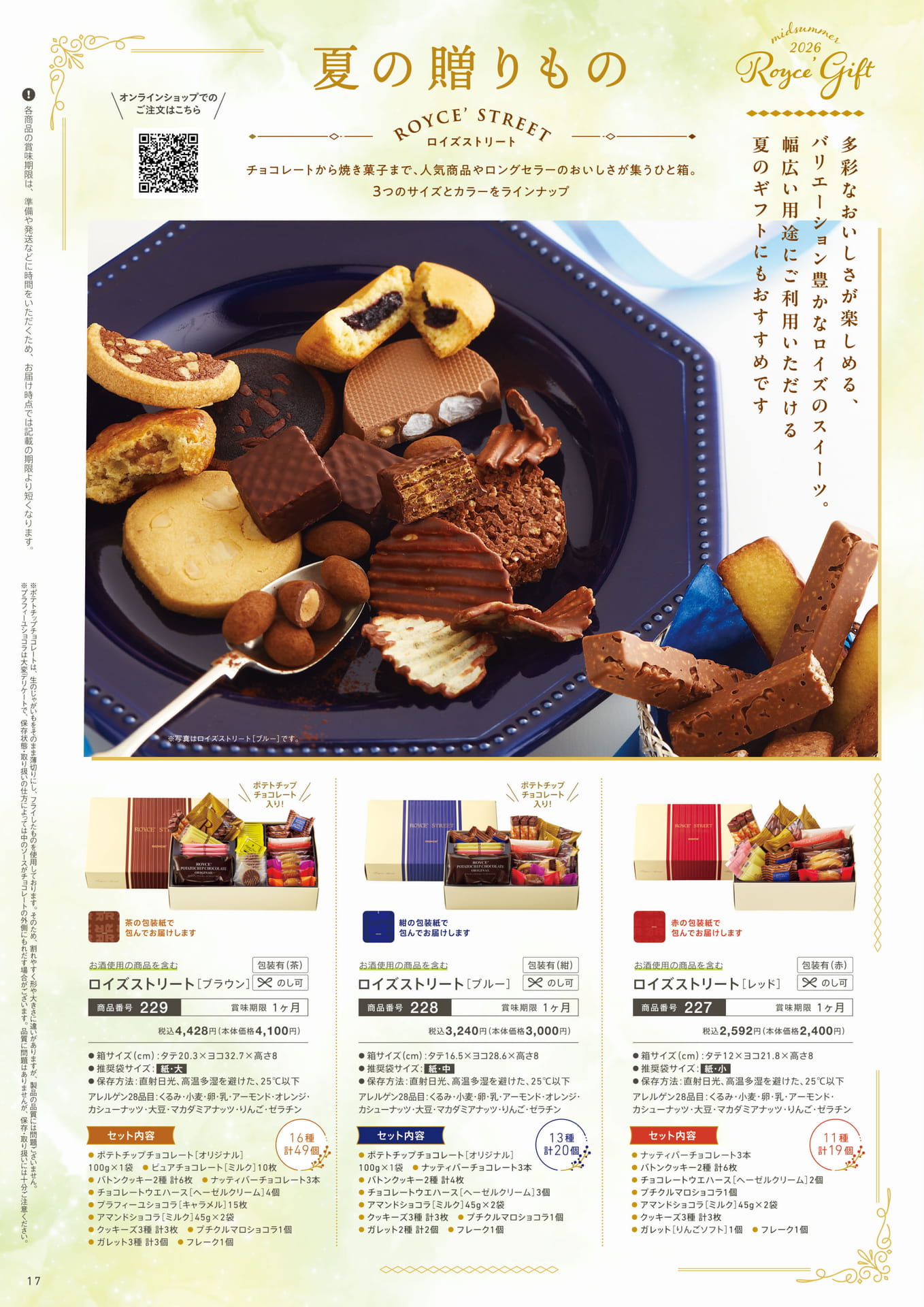 Page 17（17ページ目）