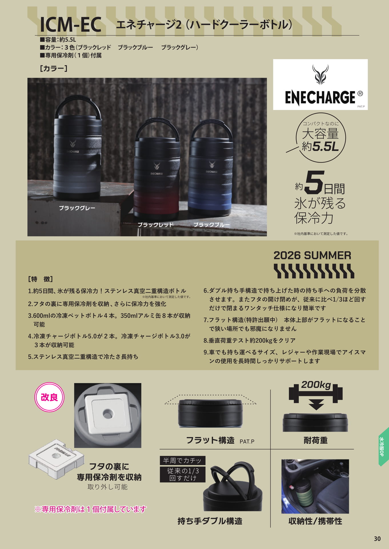 Page 31（31ページ目）