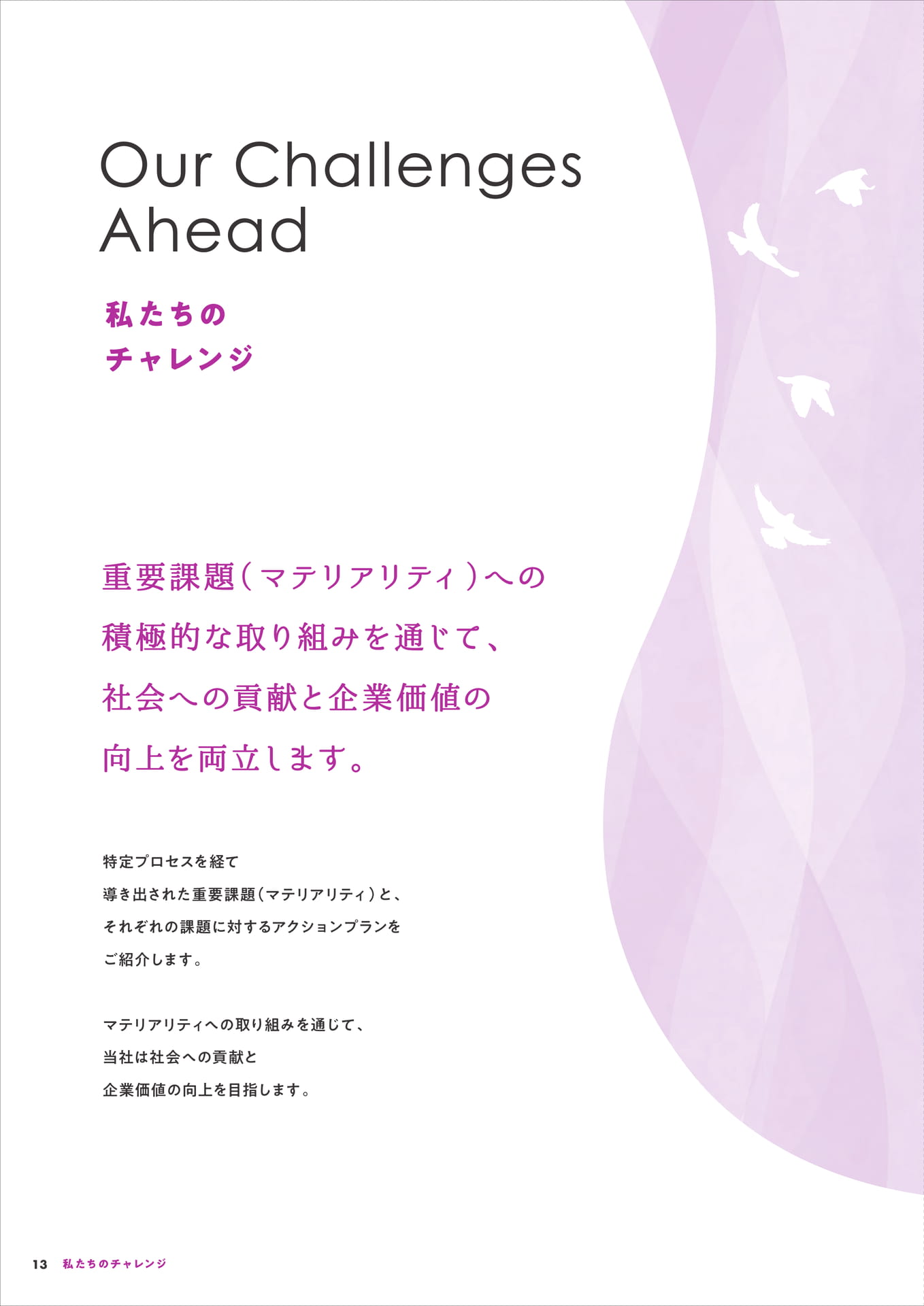 私たちのチャレンジ(14ページ目)