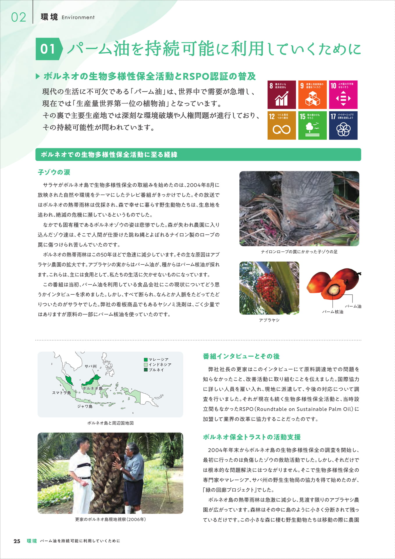 パーム油を持続可能に利用するために(26ページ目)