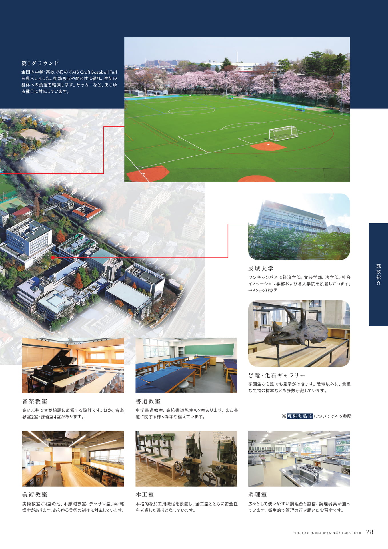 Page 29（29ページ目）