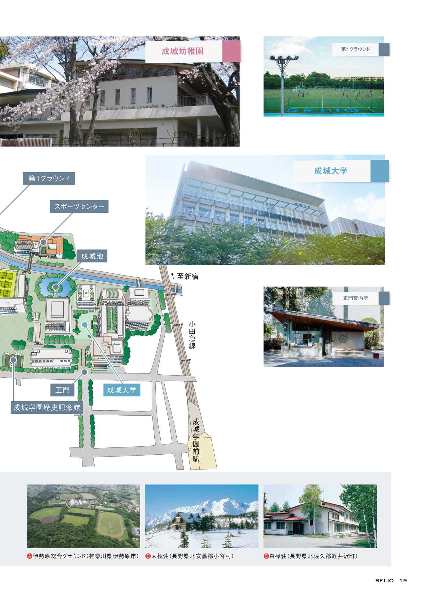 Page 19（19ページ目）