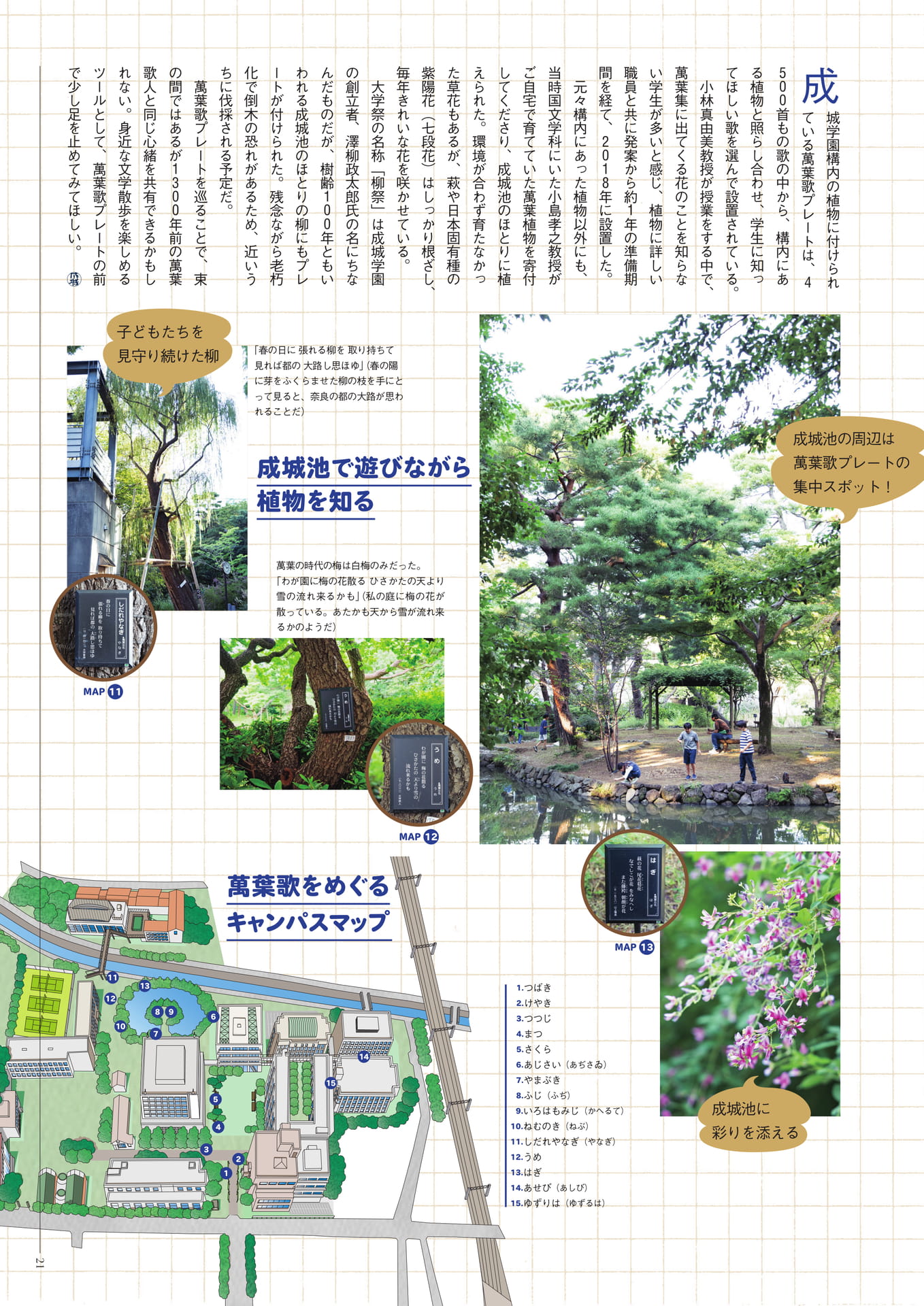 Page 21(21ページ目)