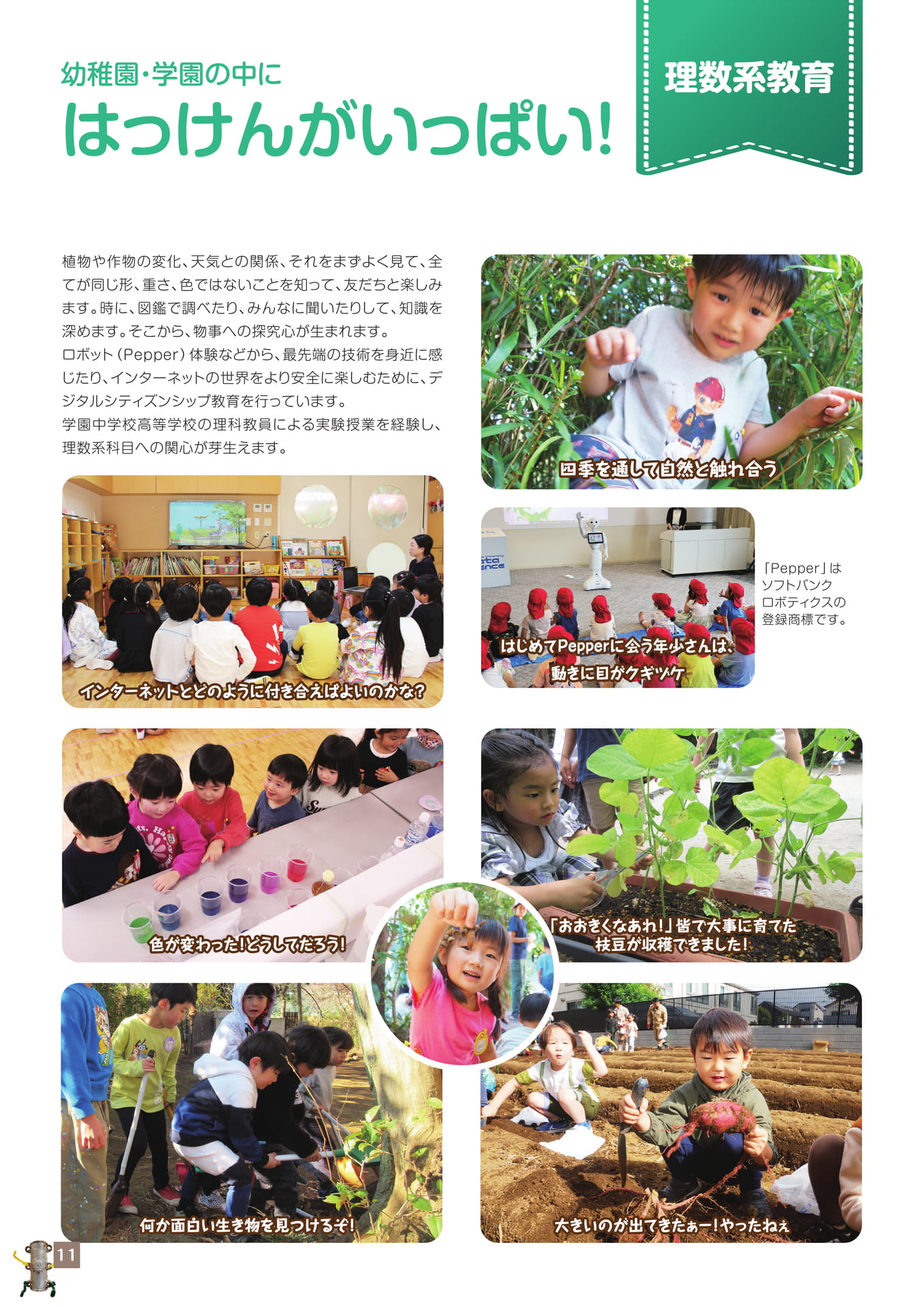 Page 12（12ページ目）