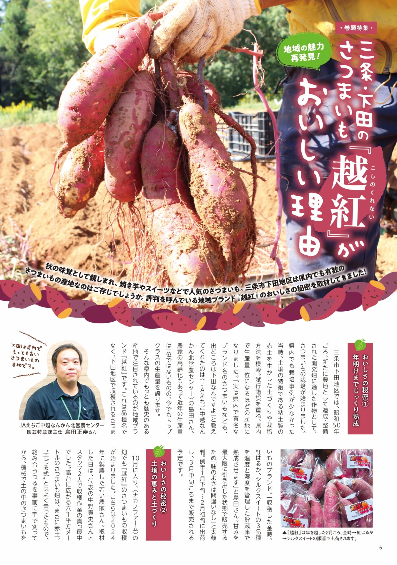 三条・下田のさつまいも越紅（6ページ目）