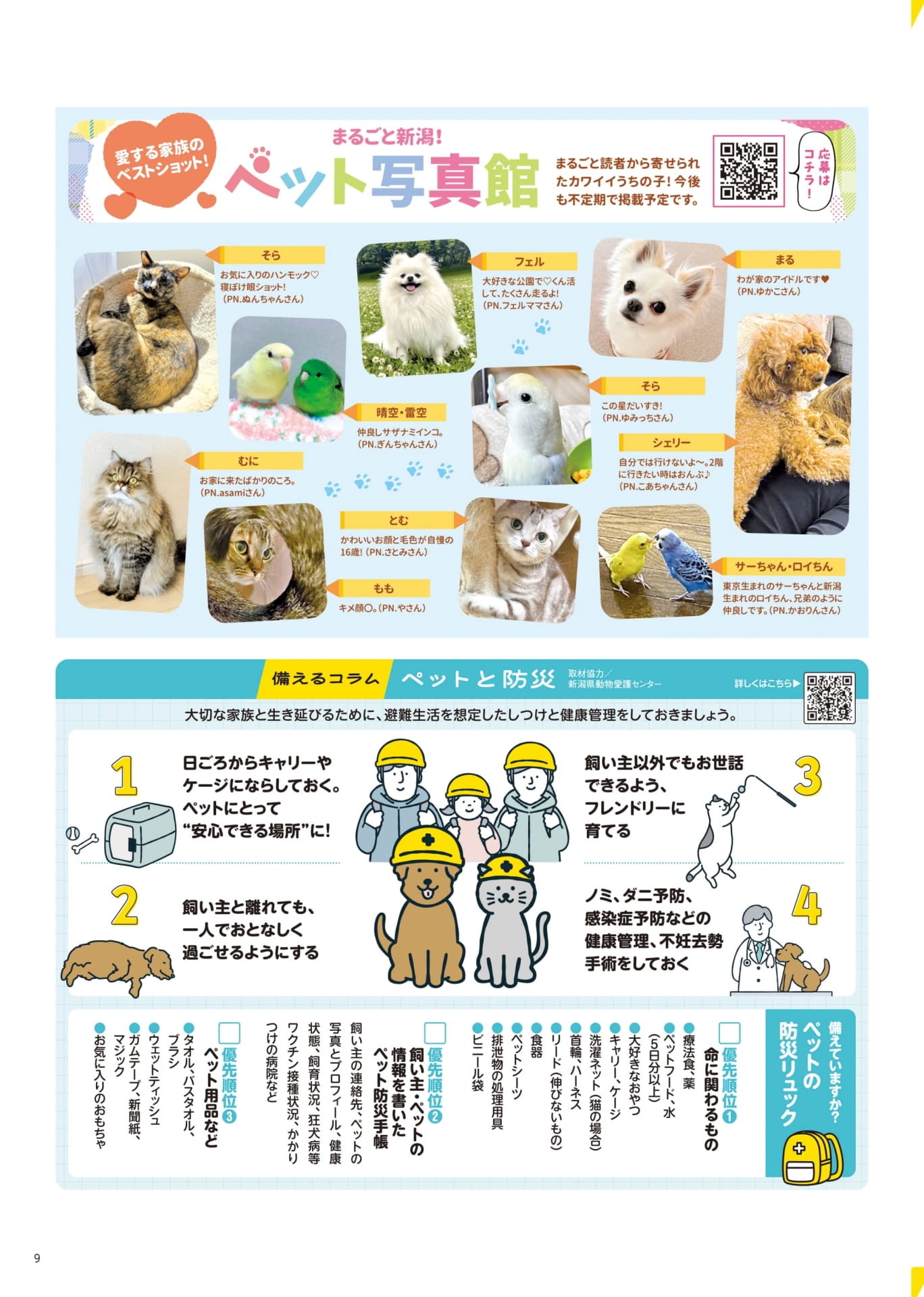 まるごとペット写真館（9ページ目）