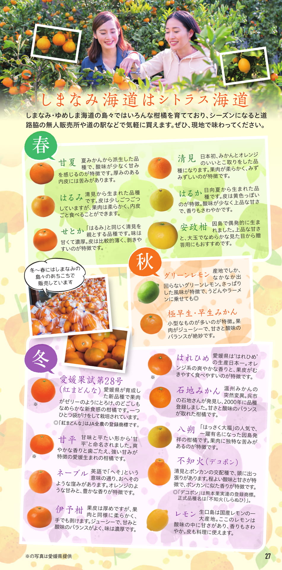 Page 28（28ページ目）