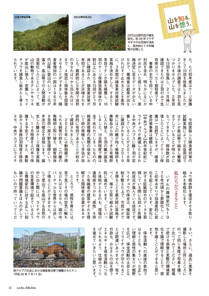 Page 11（11ページ目）