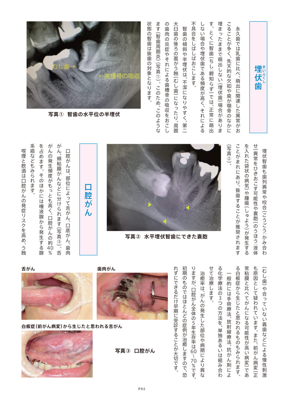 Page 3（3ページ目）