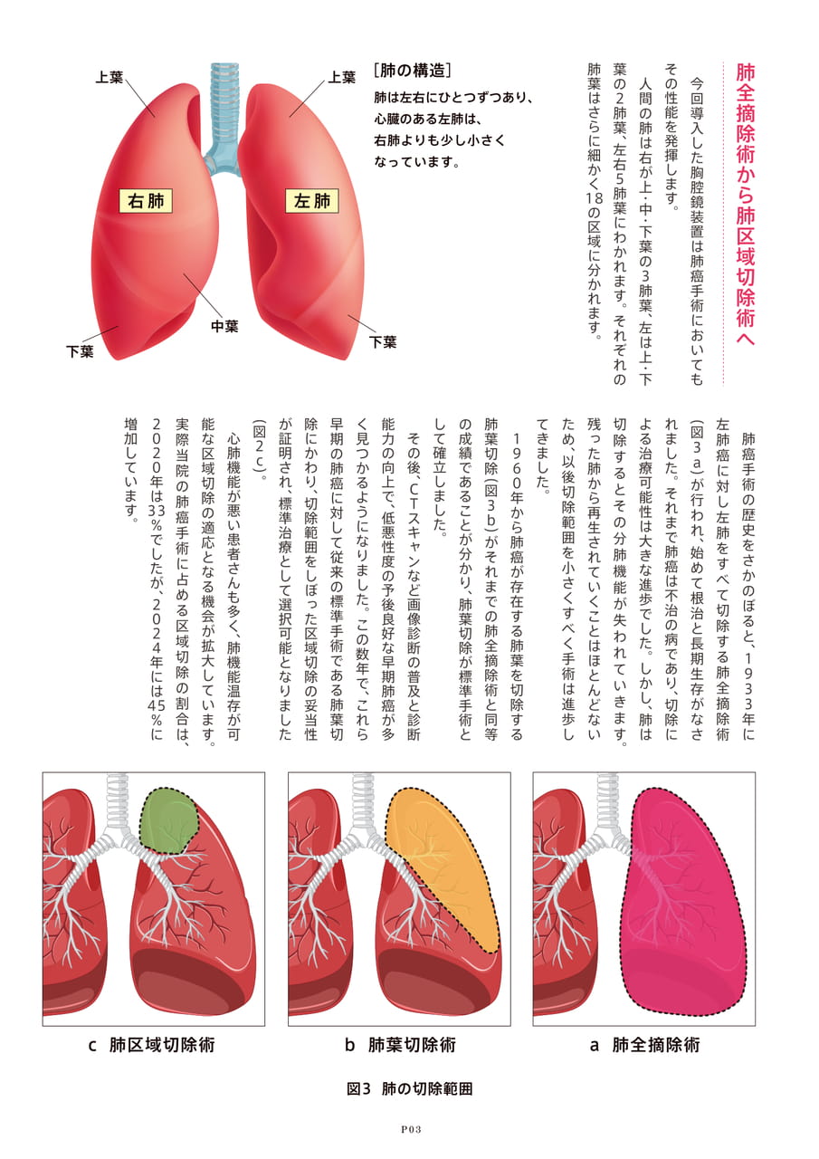 Page 4（4ページ目）
