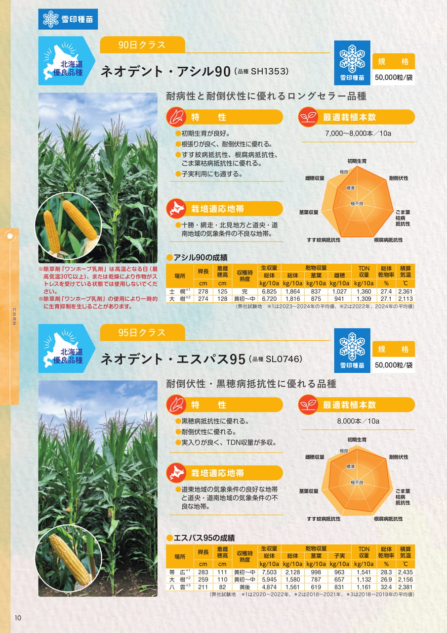 Page 10(10ページ目)