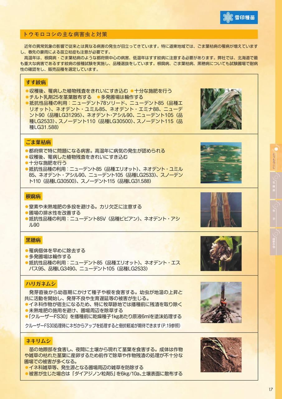Page 17(17ページ目)