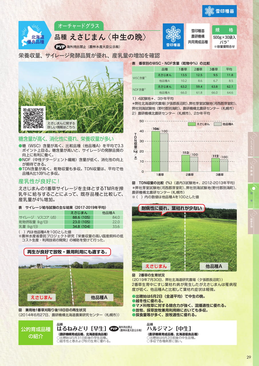 Page 29(29ページ目)