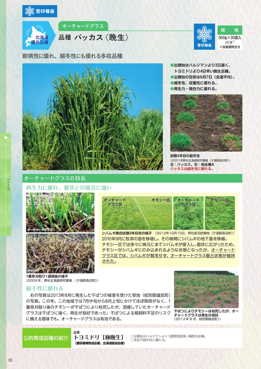 Page 30(30ページ目)