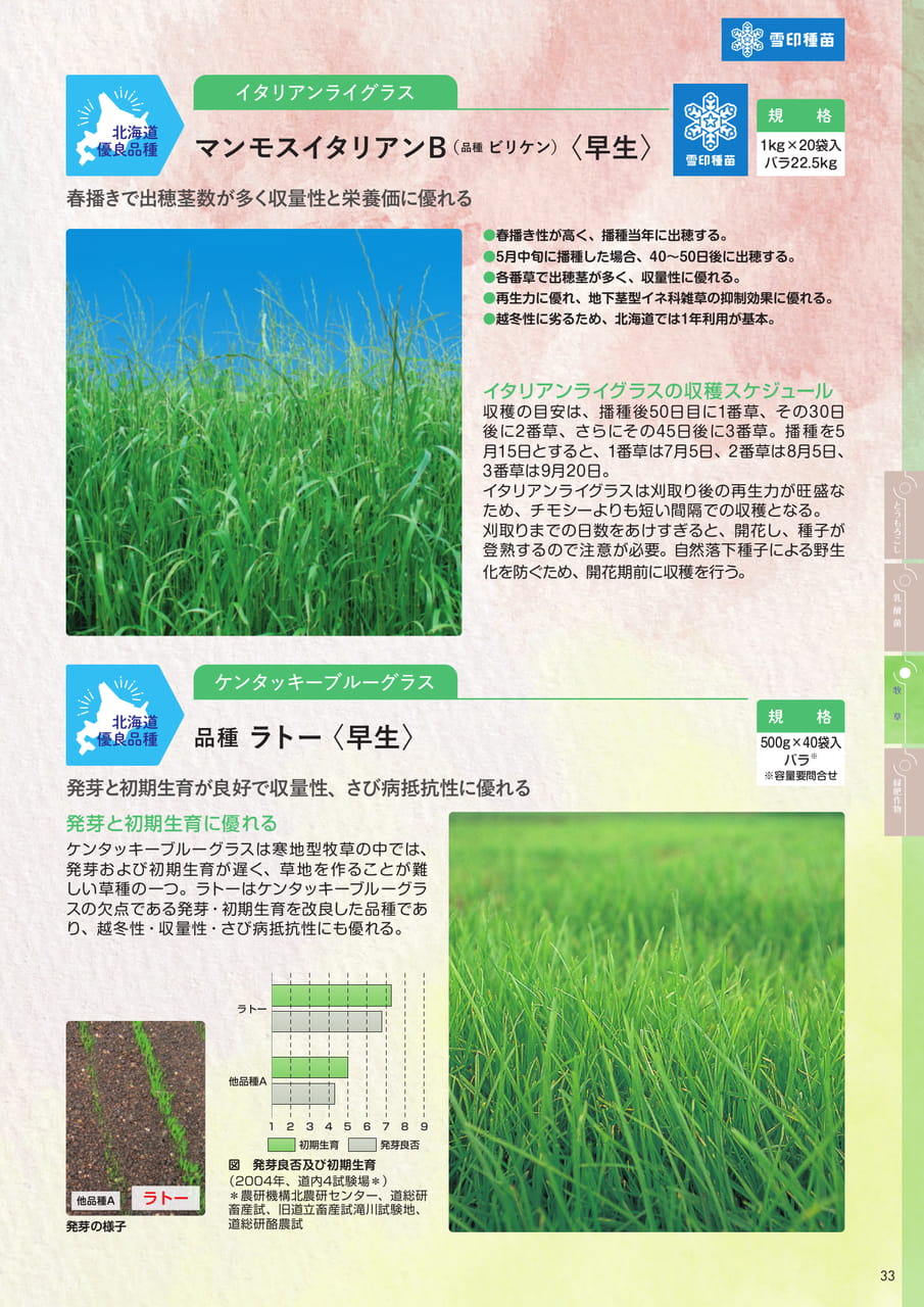 Page 33(33ページ目)