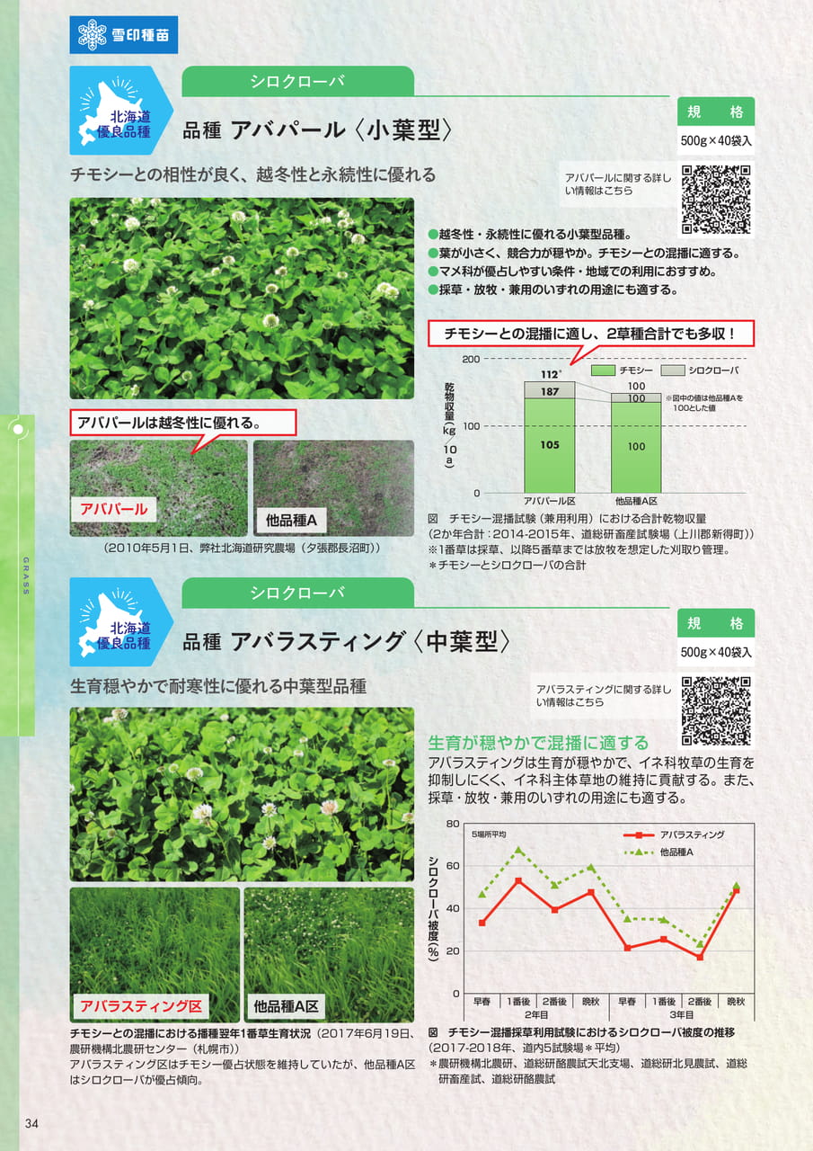 Page 34(34ページ目)