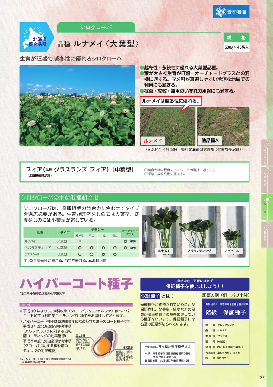 Page 35(35ページ目)