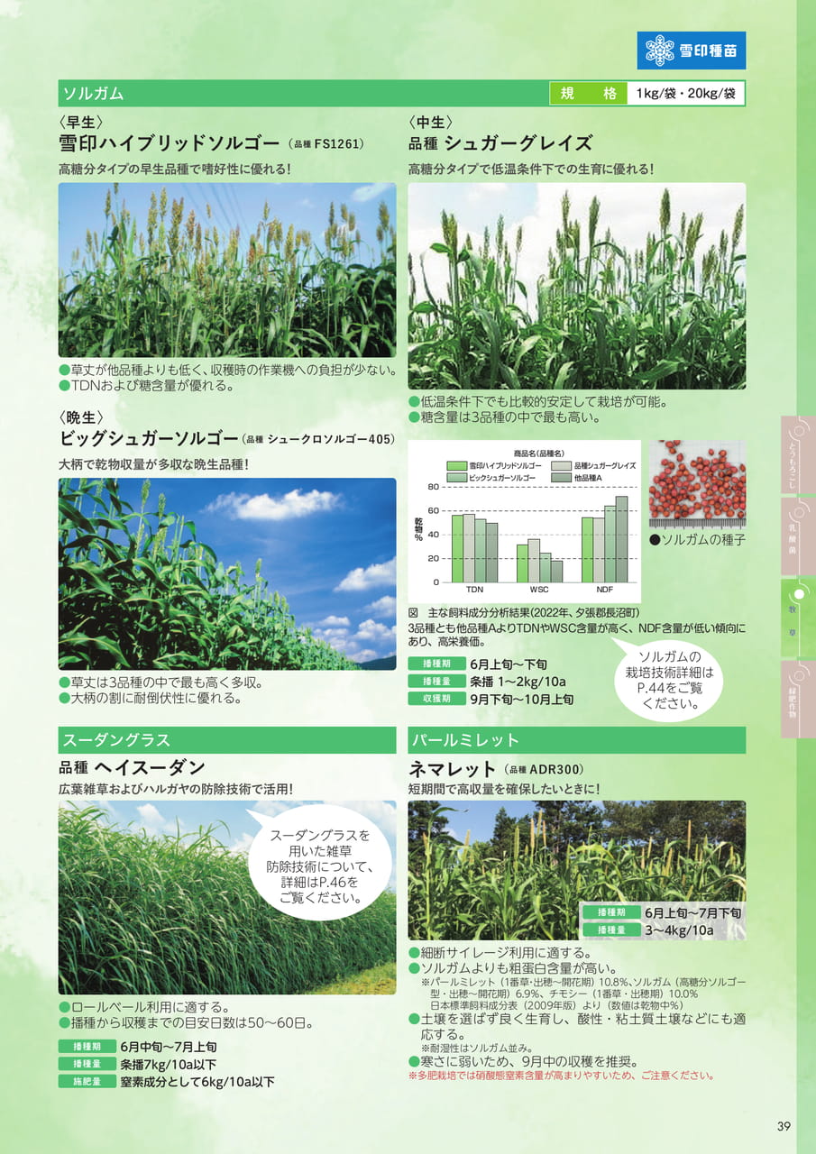Page 39(39ページ目)