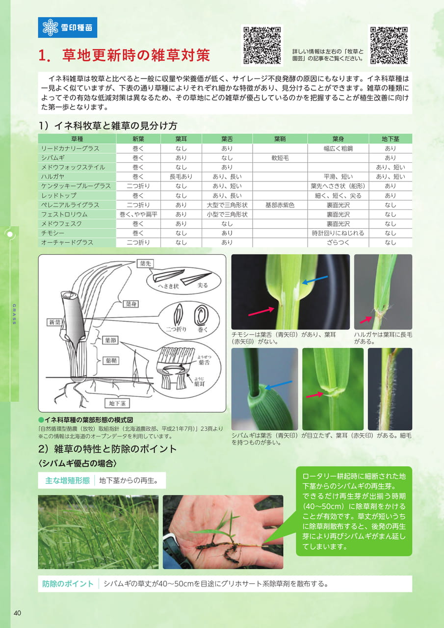 Page 40(40ページ目)
