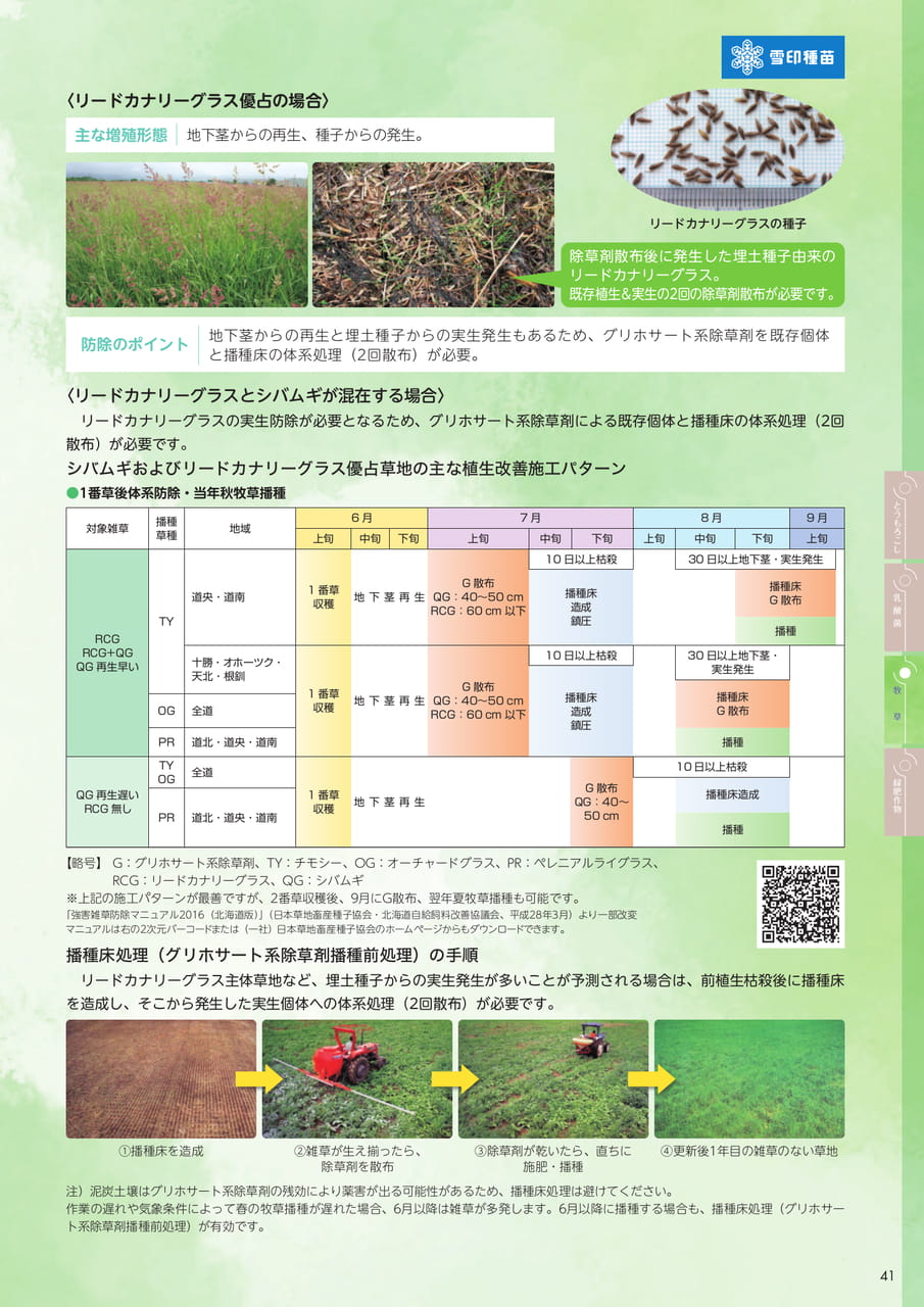 Page 41(41ページ目)
