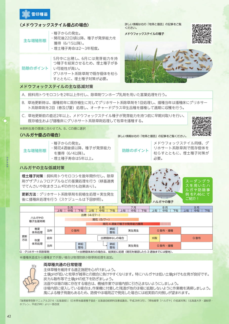 Page 42(42ページ目)