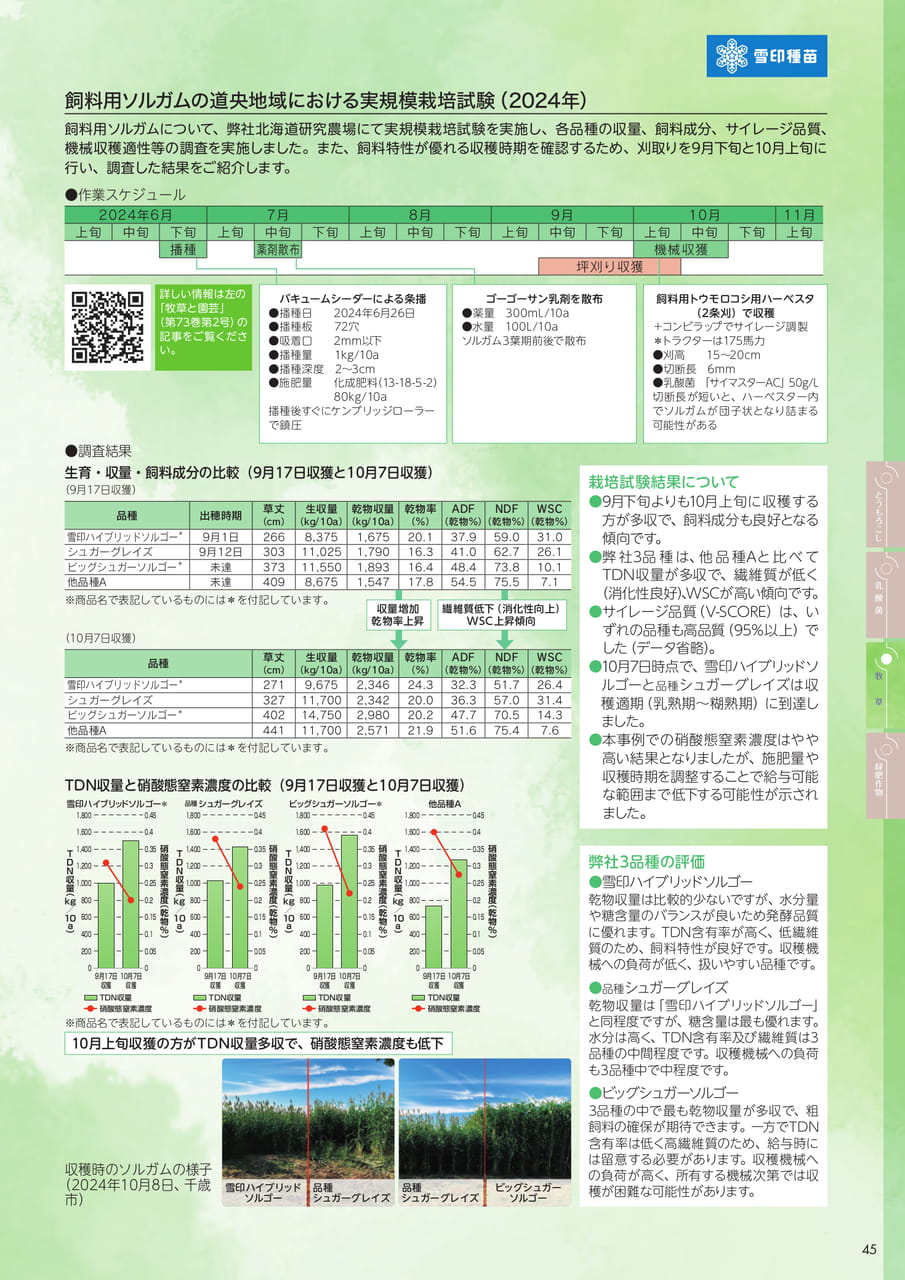 Page 45(45ページ目)
